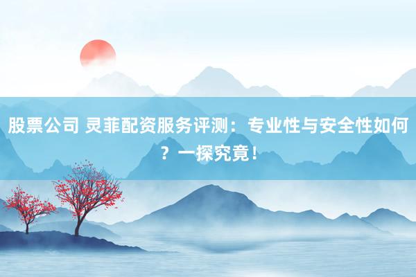 股票公司 灵菲配资服务评测：专业性与安全性如何？一探究竟！