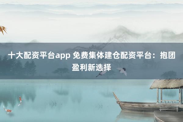 十大配资平台app 免费集体建仓配资平台：抱团盈利新选择