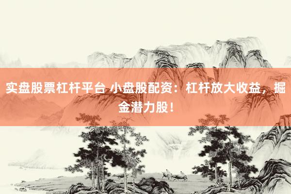 实盘股票杠杆平台 小盘股配资：杠杆放大收益，掘金潜力股！