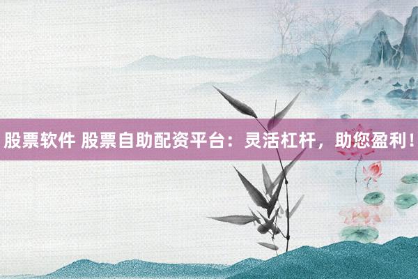 股票软件 股票自助配资平台：灵活杠杆，助您盈利！