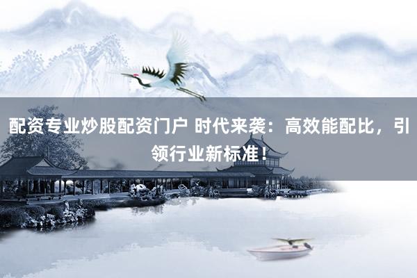 配资专业炒股配资门户 时代来袭：高效能配比，引领行业新标准！