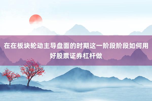 在在板块轮动主导盘面的时期这一阶段阶段如何用好股票证券杠杆做