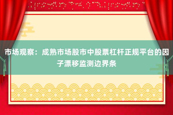 市场观察：成熟市场股市中股票杠杆正规平台的因子漂移监测边界条
