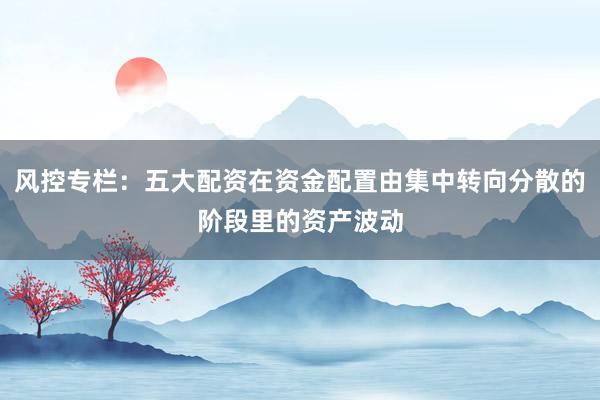 风控专栏：五大配资在资金配置由集中转向分散的阶段里的资产波动