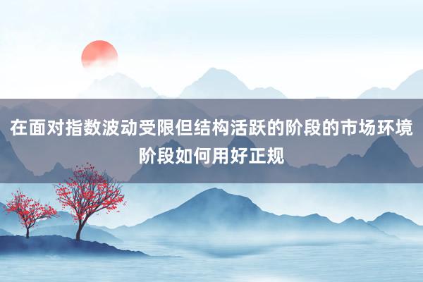 在面对指数波动受限但结构活跃的阶段的市场环境阶段如何用好正规