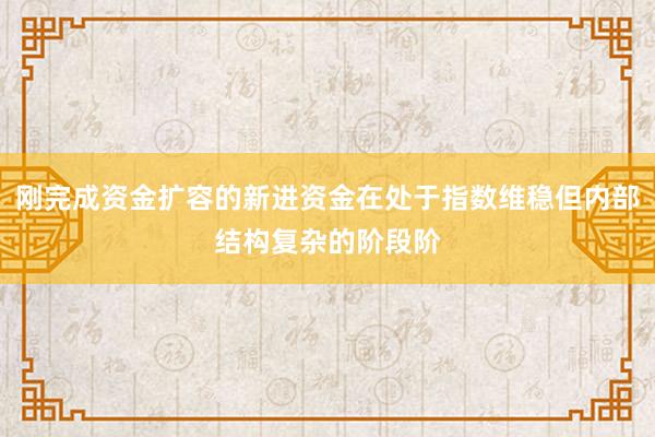 刚完成资金扩容的新进资金在处于指数维稳但内部结构复杂的阶段阶